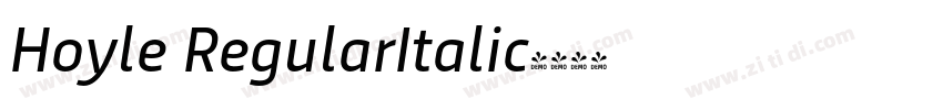 Hoyle RegularItalic字体转换